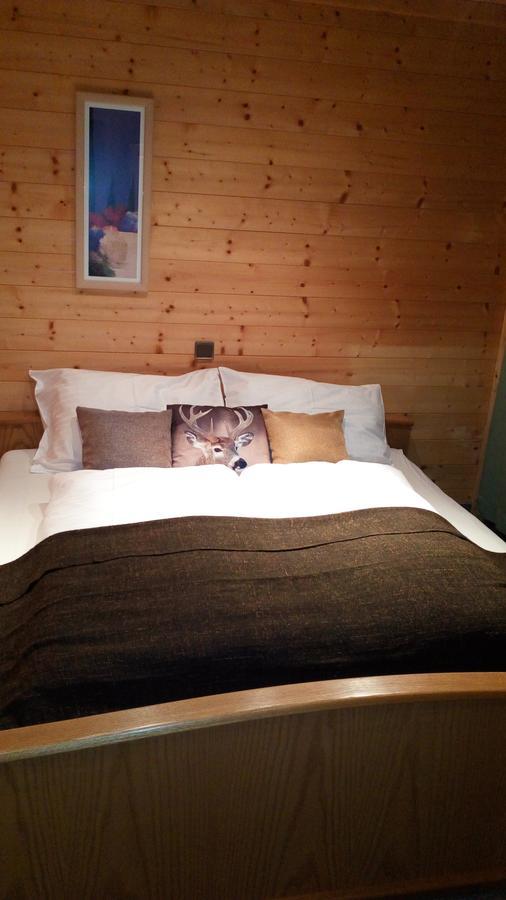 Mühlbach am Hochkönig Apartments Helsen מראה חיצוני תמונה